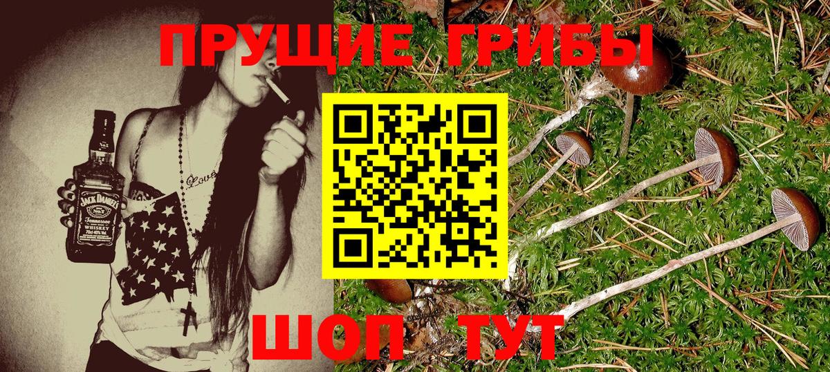 Галлюциногенные грибы Psilocybine cubensis  Вход с VPN  Ростов Великий 
