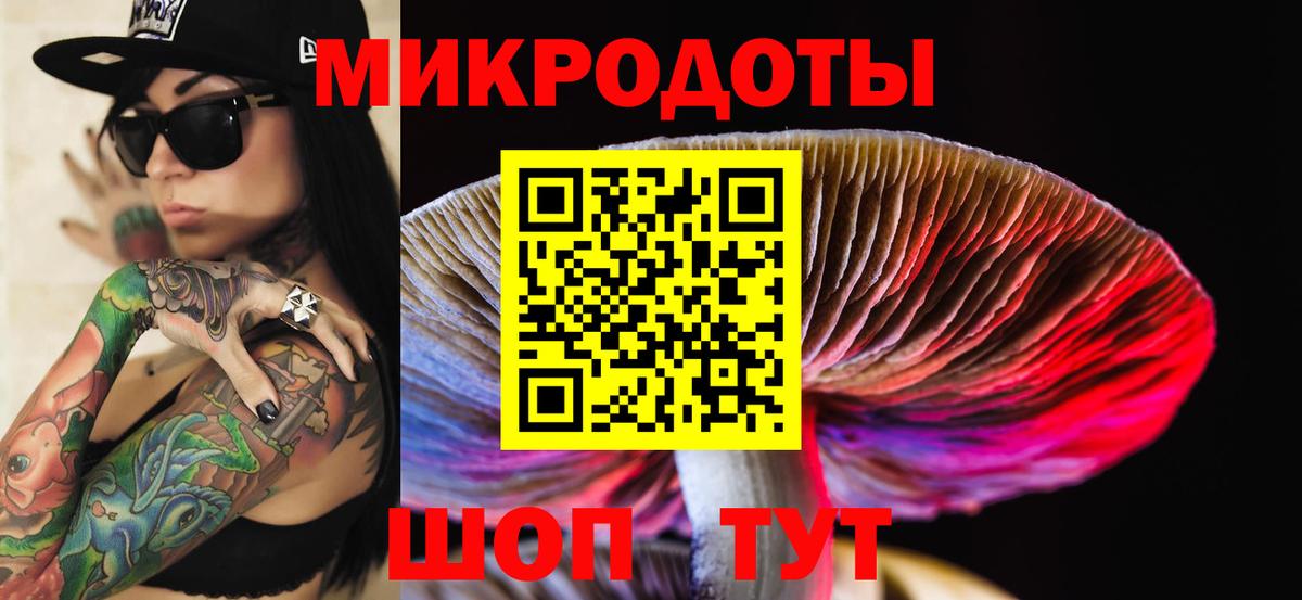 Галлюциногенные грибы Psilocybine cubensis Ростов Великий